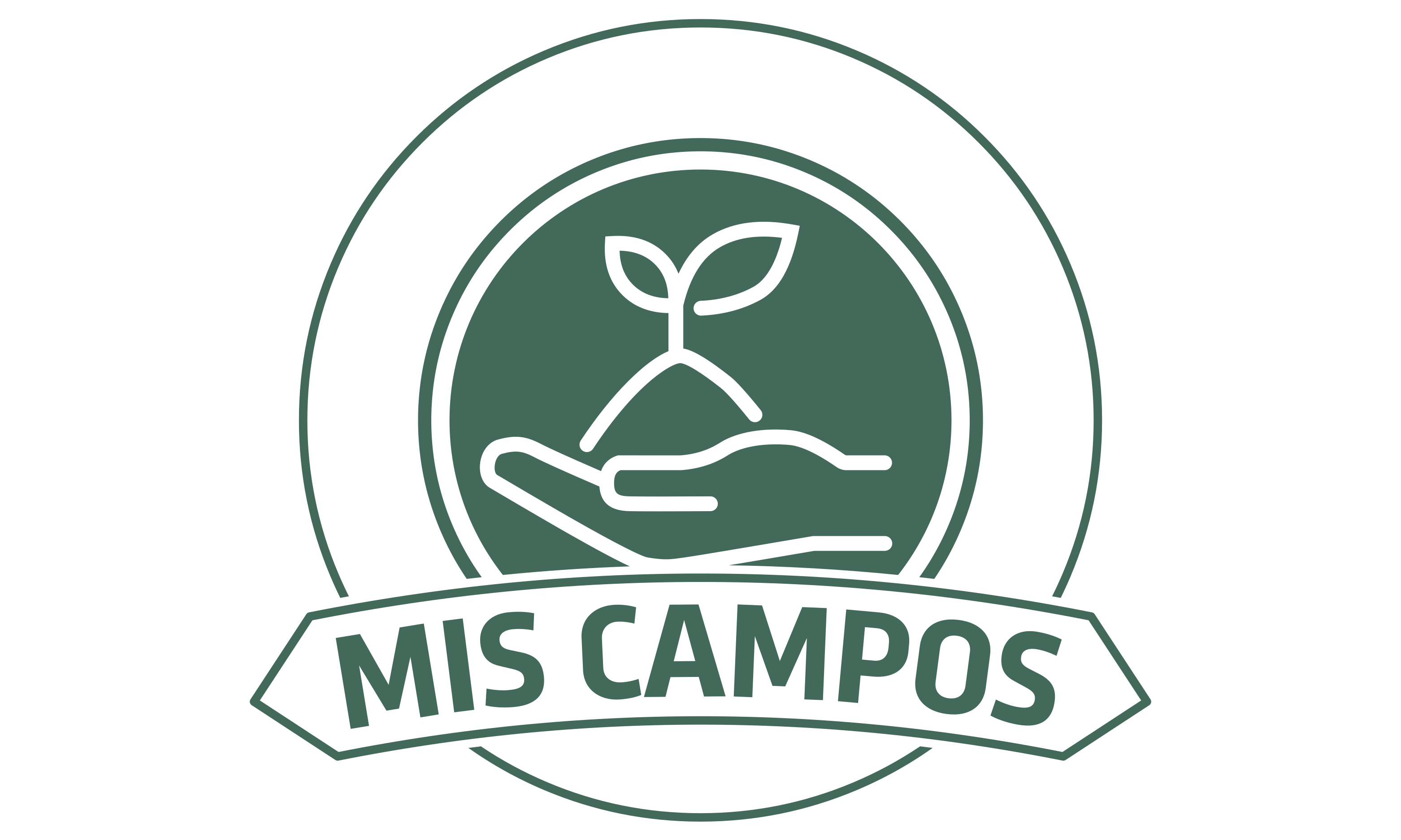 mis-campos.com